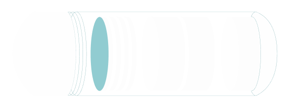 livecare animation capsule