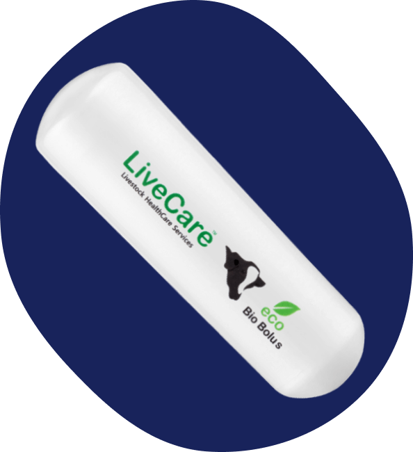 livecare capsule dark blue background
